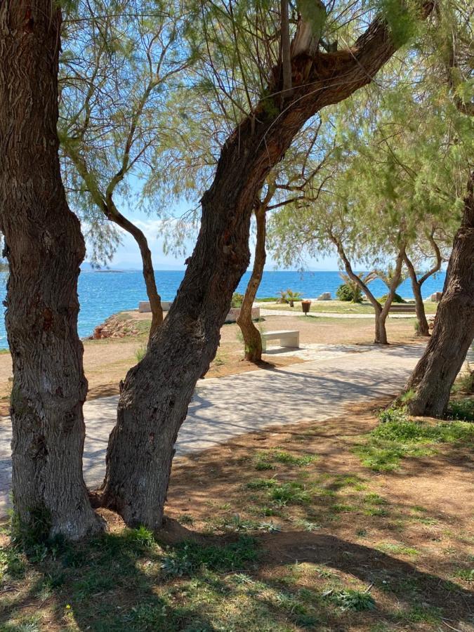 Athens-Riviera Luxury Apartment Sea View Voula Exterior photo
